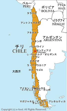 official language Easter Island
